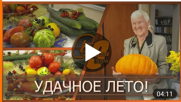 УДАЧНОЕ ЛЕТО!