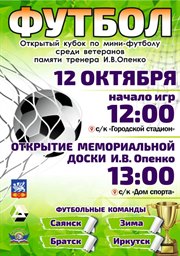 Открытый кубок по мини-футболу