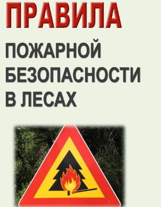 Памятка по пожароопасной безопасности в лесах