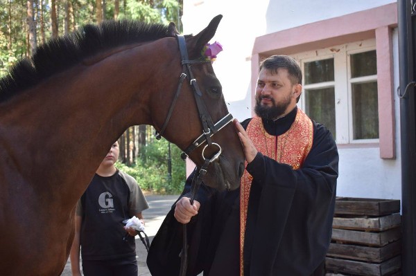 День лошади