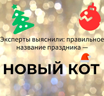 КиберГайд. Новый кот