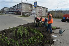 В городе началась посадка цветов