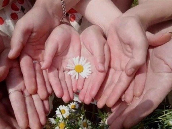 Акция "Ромашка любви!"