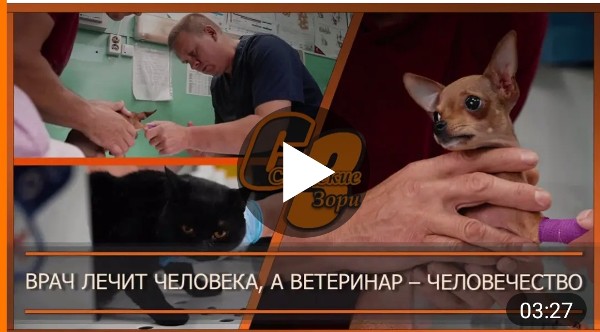 ВРАЧ ЛЕЧИТ ЧЕЛОВЕКА, А ВЕТЕРИНАР - ЧЕЛОВЕЧЕСТВО
