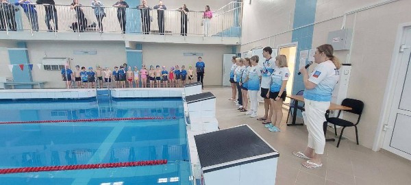 День стайера